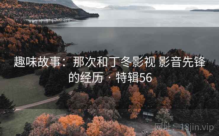 趣味故事：那次和丁冬影视 影音先锋的经历 · 特辑56  第2张
